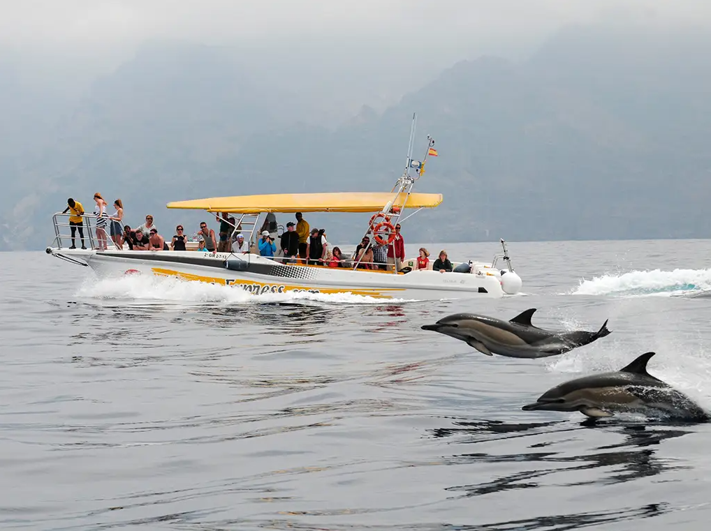 Barco Masca Express